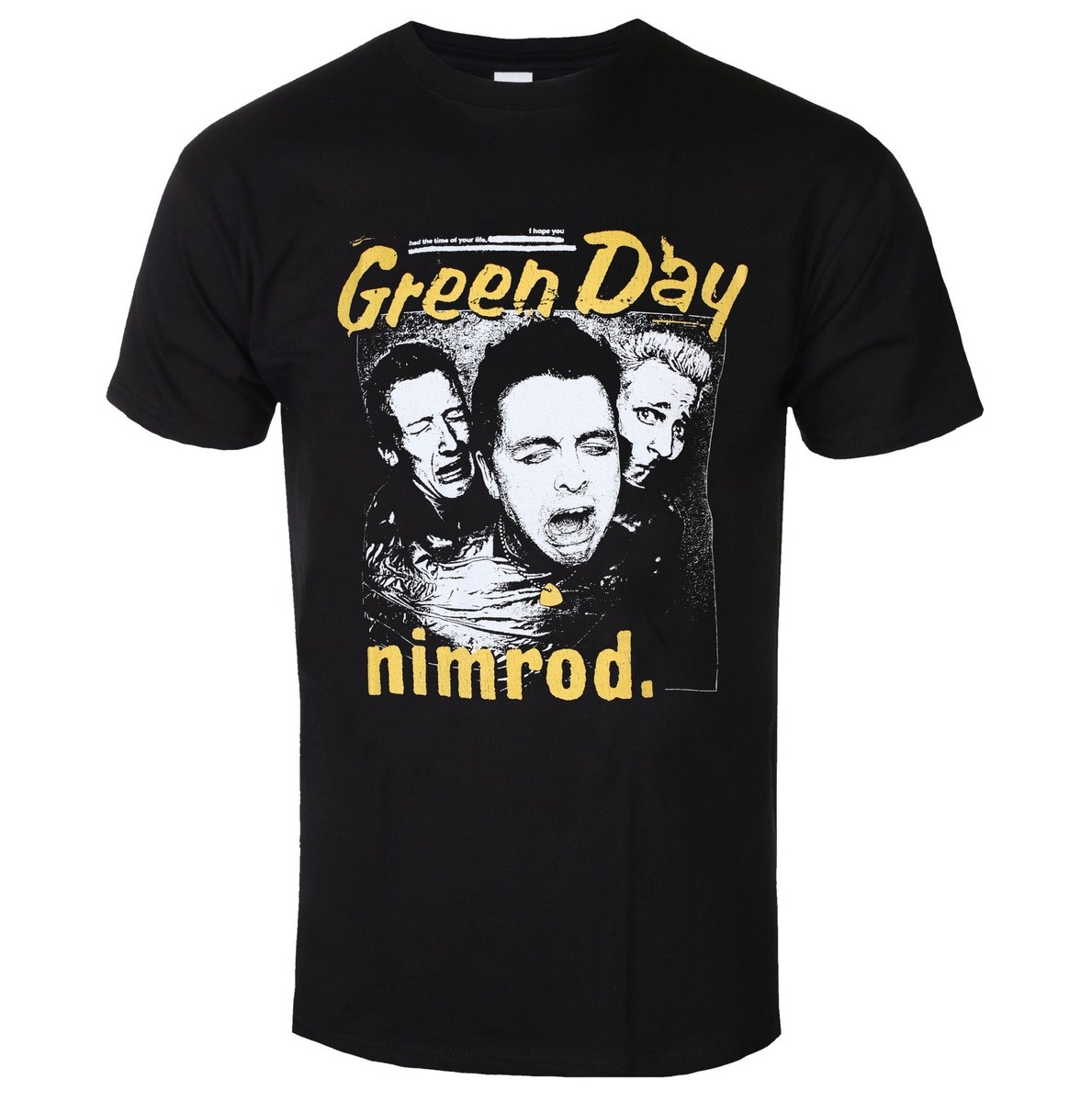 Green Day Distressed Faded Ban - Band Tee Faded 90S review and price